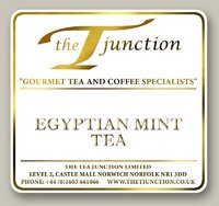 Egyptian Mint