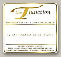 Guatemala Elephant